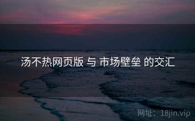 汤不热网页版 与 市场壁垒 的交汇