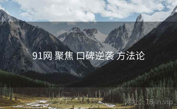 91网 聚焦 口碑逆袭 方法论
