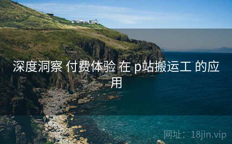 深度洞察 付费体验 在 p站搬运工 的应用