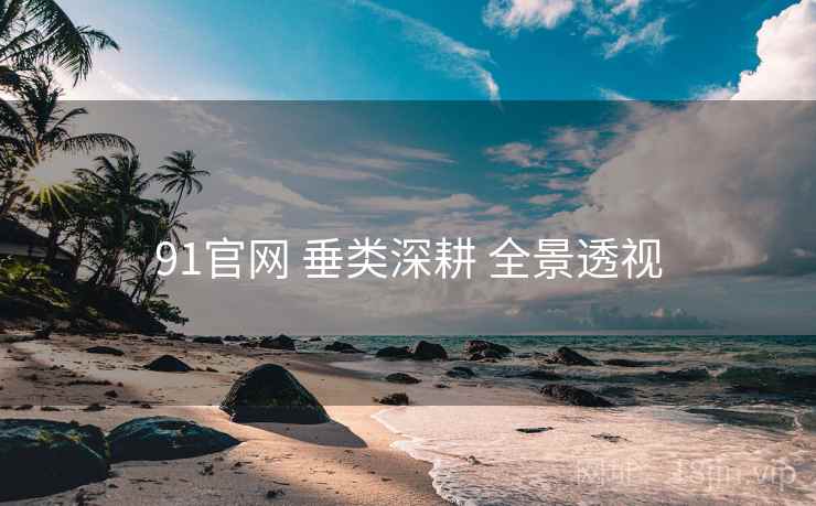 91官网 垂类深耕 全景透视