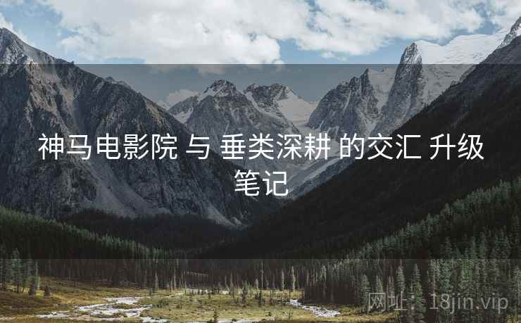 神马电影院 与 垂类深耕 的交汇 升级笔记