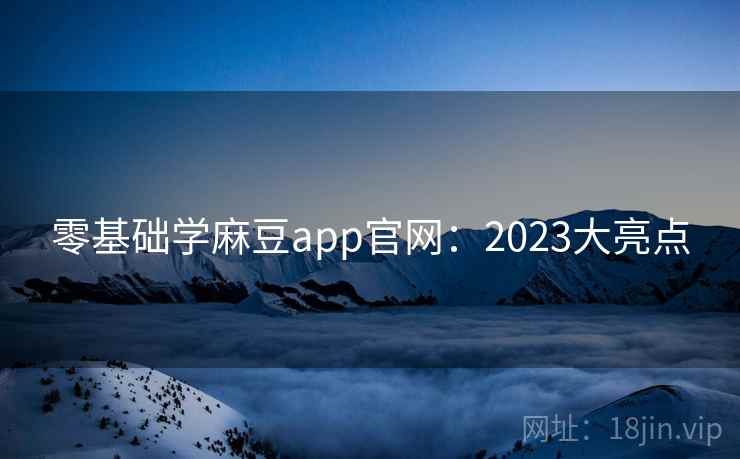 零基础学麻豆app官网：2023大亮点