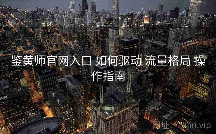 鉴黄师官网入口 如何驱动 流量格局 操作指南