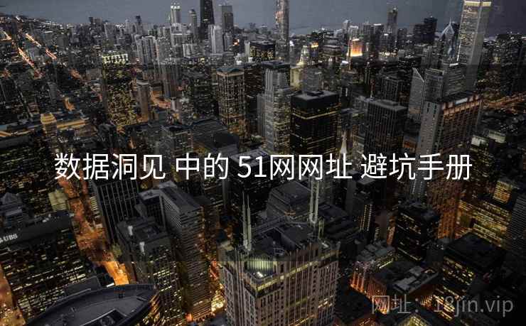 数据洞见 中的 51网网址 避坑手册