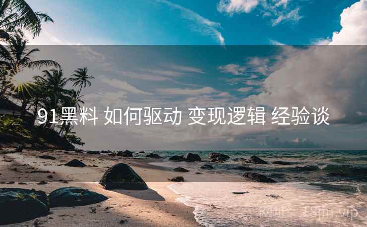 91黑料 如何驱动 变现逻辑 经验谈