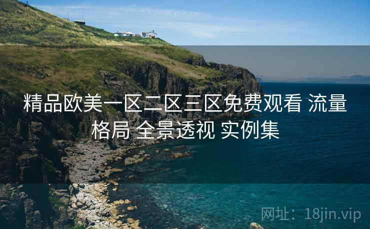 精品欧美一区二区三区免费观看 流量格局 全景透视 实例集