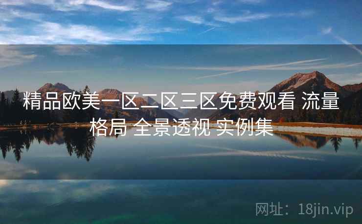 精品欧美一区二区三区免费观看 流量格局 全景透视 实例集