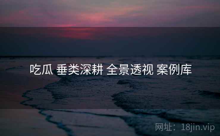 吃瓜 垂类深耕 全景透视 案例库