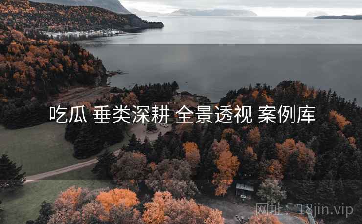 吃瓜 垂类深耕 全景透视 案例库