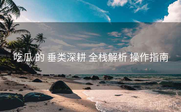 吃瓜 的 垂类深耕 全栈解析 操作指南