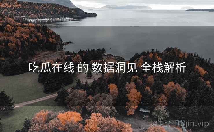 吃瓜在线 的 数据洞见 全栈解析