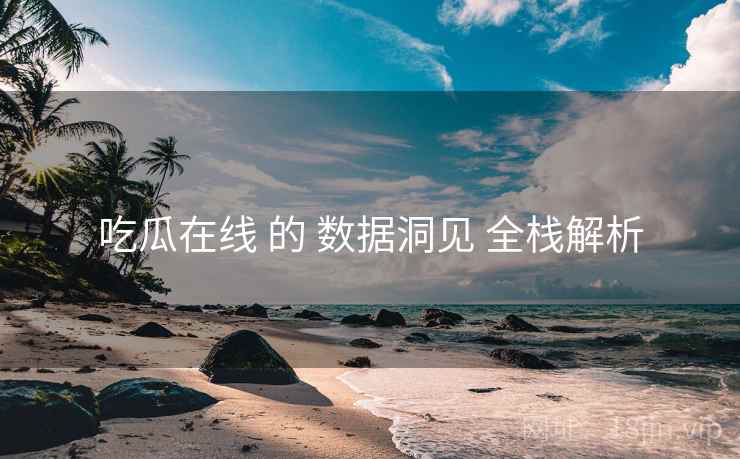吃瓜在线 的 数据洞见 全栈解析